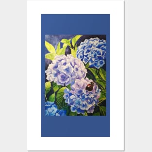 Blue hydrangeas watercolour painting Posters and Art